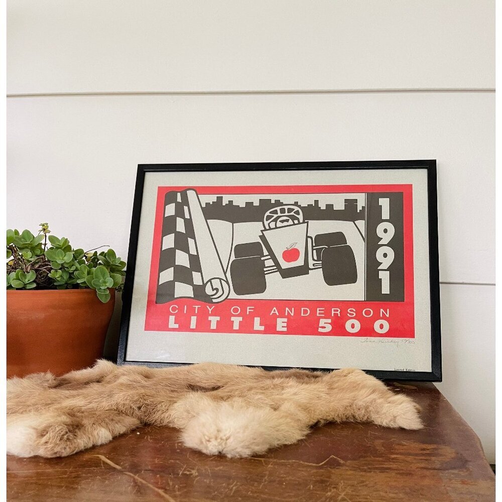 1991 City of Anderson Little‎ 500 race art Tina Dickey 58/300 framed linoleum
